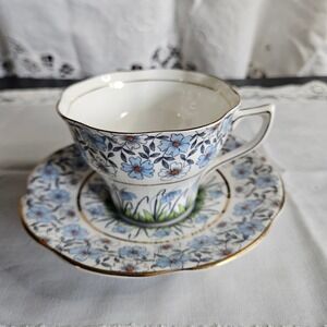 Vintage Rosina Bone China Chintz Blue Floral Cup and Saucer Pattern 496 England